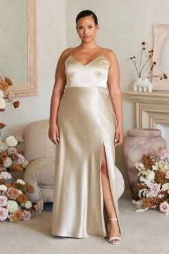 Jay Shiny Satin Dress - Neutral Champagne 22 Jay Shiny Satin Dress - Neutral Champagne -Elegance Bridal Store 20220727 BIRDYGREY 0384 RT 9f7eb009 a04b 4ff1 82bd b3bcf5de516a