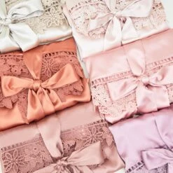 Claudine Lace Robe - Pale Blush 20 Claudine Lace Robe - Pale Blush -Elegance Bridal Store BIRDYGREY SILKROBES1476.CROPPED.RT b9bf2248 582e 4e3f a7ec c8c16f25021c