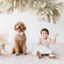 Liz Flower Girl Sash - Sheen Pale Pink 9 Liz Flower Girl Sash - Sheen Pale Pink -Elegance Bridal Store BIRDY GREY ELIZABETH FLOWER GIRL SASH BLUSH PINK 02