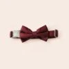 Sadie Dog Bow Tie Collar - Sheen Cabernet 2 Sadie Dog Bow Tie Collar - Sheen Cabernet -Elegance Bridal Store BIRDY GREY MUGGSY DOG BOW TIE COLLAR CABERNET 01