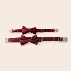Sadie Dog Bow Tie Collar - Sheen Cabernet -Elegance Bridal Store BIRDY GREY MUGGSY DOG BOW TIE COLLAR CABERNET 03