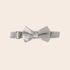 Sadie Dog Bow Tie Collar - Sheen Gray