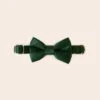Sadie Dog Bow Tie Collar - Sheen Emerald -Elegance Bridal Store BIRDY GREY MUGGSY DOG BOW TIE COLLAR EMERALD 01