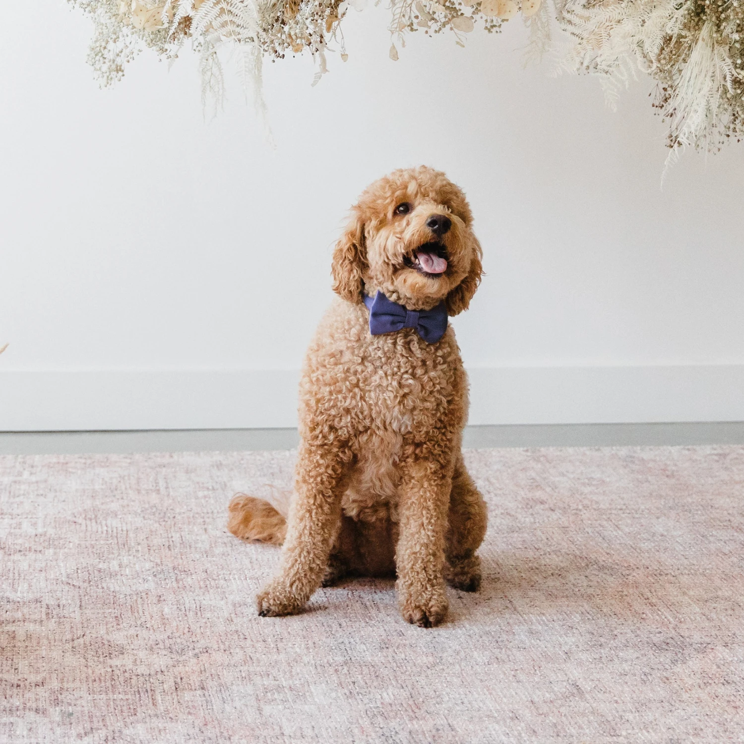 Sadie Dog Bow Tie Collar - Sheen Navy 4 Sadie Dog Bow Tie Collar - Sheen Navy - Image 2