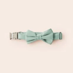 Sadie Dog Bow Tie Collar - Sheen Light Green
