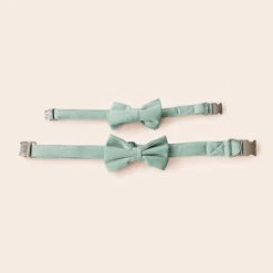 Sadie Dog Bow Tie Collar - Sheen Light Green -Elegance Bridal Store BIRDY GREY MUGGSY DOG BOW TIE COLLAR SAGE 03