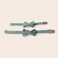 Sadie Dog Bow Tie Collar - Sheen Sea Glass -Elegance Bridal Store BIRDY GREY MUGGSY DOG BOW TIE COLLAR SEA GLASS 03