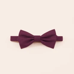 Harry Bow Tie - Cabernet