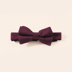 Sadie Dog Bow Tie Collar - Cabernet