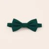 Harry Bow Tie - Emerald