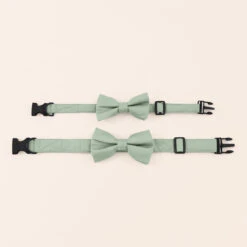 Sadie Dog Bow Tie Collar - Sage -Elegance Bridal Store sage sadie dog bow tie collar 01 12d05134 6e90 4009 89d4 56c97d7e67fc