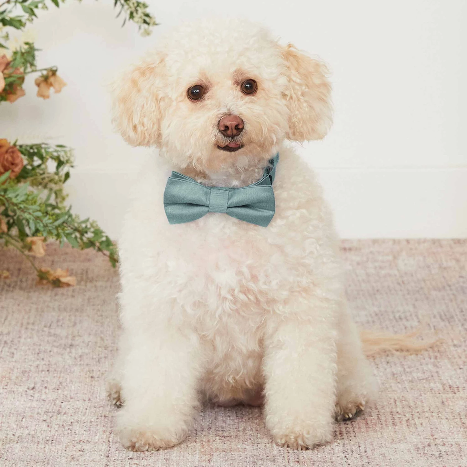 Sadie Dog Bow Tie Collar - Sea Glass 4 Sadie Dog Bow Tie Collar - Sea Glass - Image 2