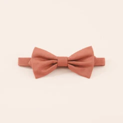 Harry Bow Tie - Terracotta