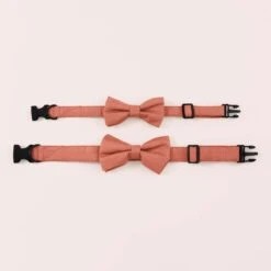 Sadie Dog Bow Tie Collar - Terracotta -Elegance Bridal Store terracotta sadie dog bow tie collar 01