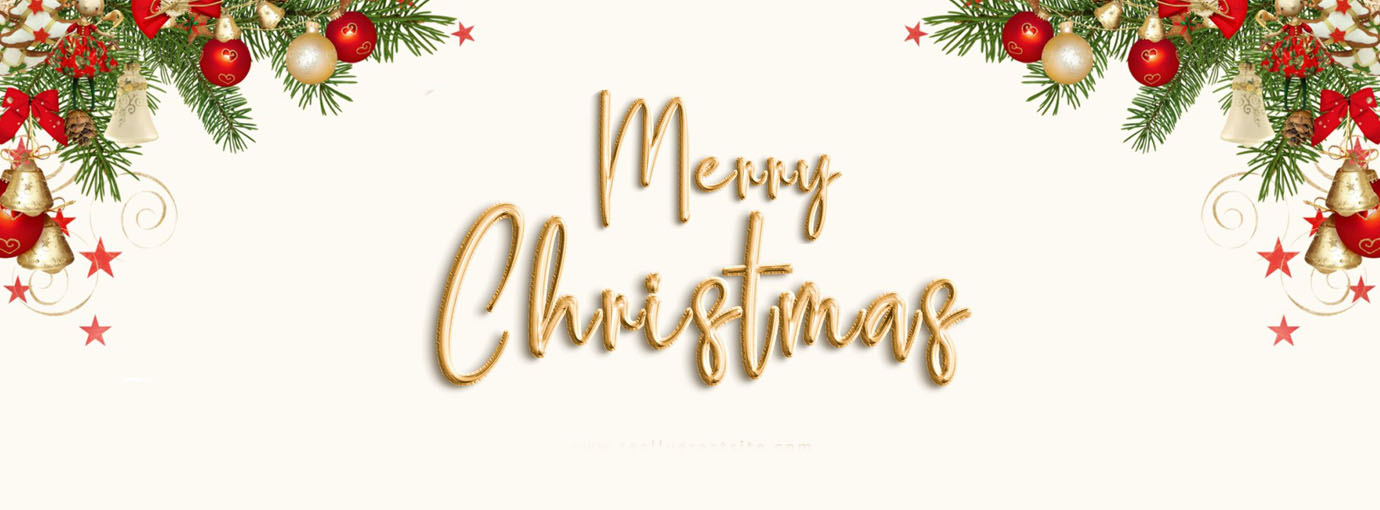 Elegance Bridal Store 1 Elegance Bridal Store -Elegance Bridal Store 10